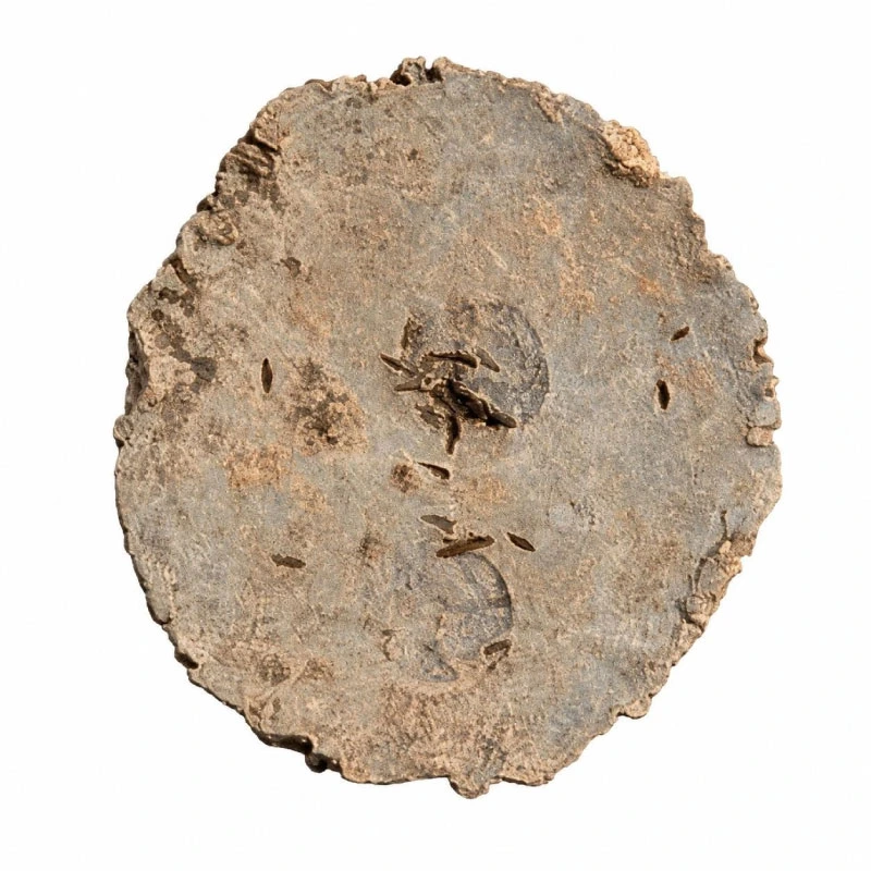 disque monétaire" en plomb, portant l’empreinte de deux poinçons monétaires correspondant à une variante de statère (monnaie en or ou en electrum) dite “à l'aurige et roue quadripartite”